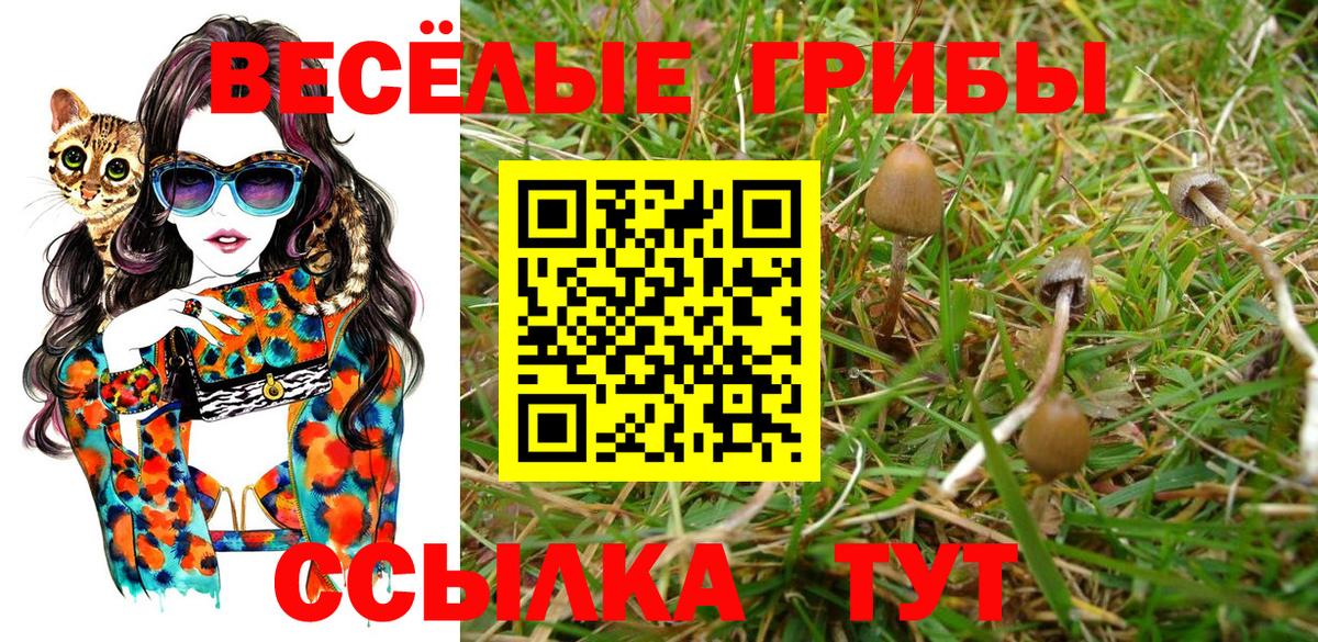 COCAIN  ГАШИШ  Каннабис  Туапсе  ГАШ  Меф МЯУ МЯУ   Вход с VPN 