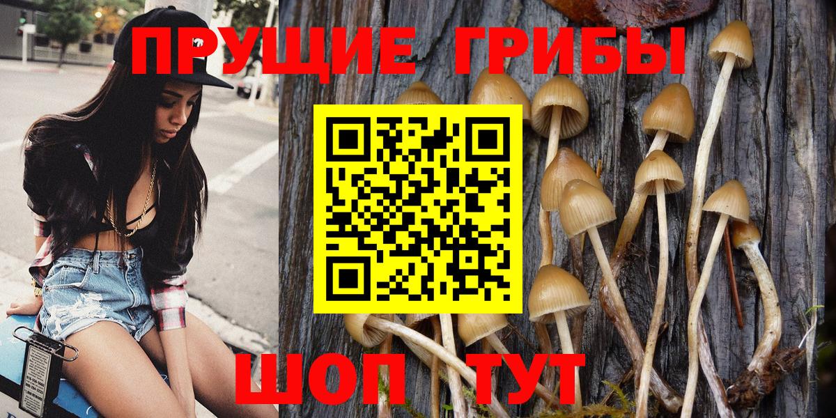 Туапсе  Галлюциногенные грибы прущие грибы  Вход с VPN 